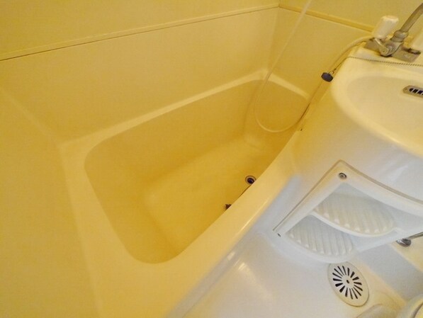 パークハイツ中島IIの物件内観写真